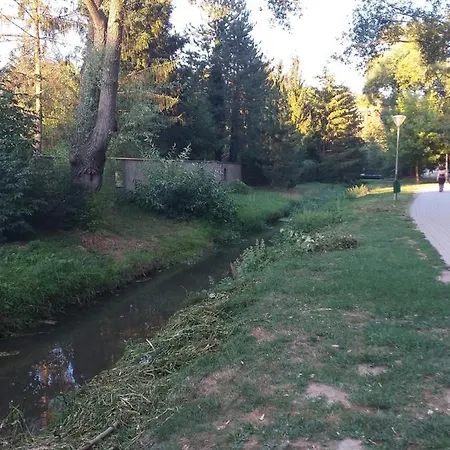 Galeria * 베스프렘